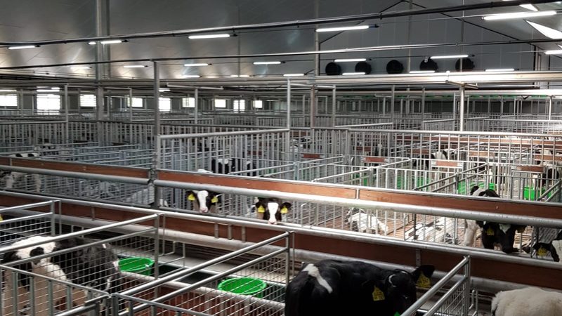 广州拼多多代运营服务商：揭秘电商增长的秘密武器